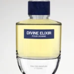 Divine Elixir EDP Premium Perfume for Men | 100ml, Luxury Fragrances